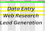 do excel data entry data mining, remove duplicates, data cleaning, web research